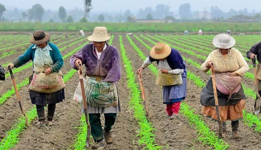LA MUJER CAMPESINA EN COLOMBIA: Entre la servidumbre, la resistencia y la dignidad