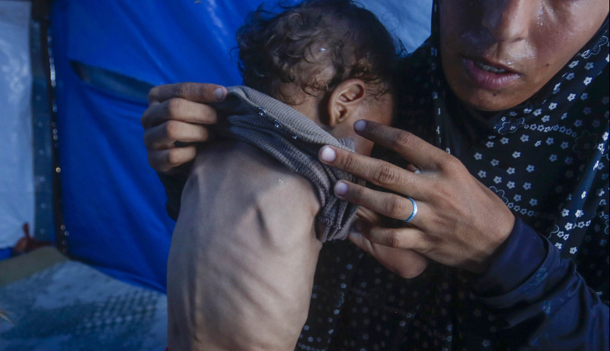 Crimen de guerra: La hambruna en Gaza es resultado directo de las acciones de Israel