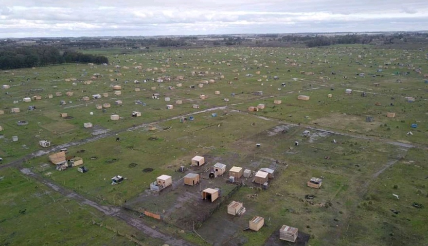TIERRAS – OCUPACIONES. ¿Qué hacer?